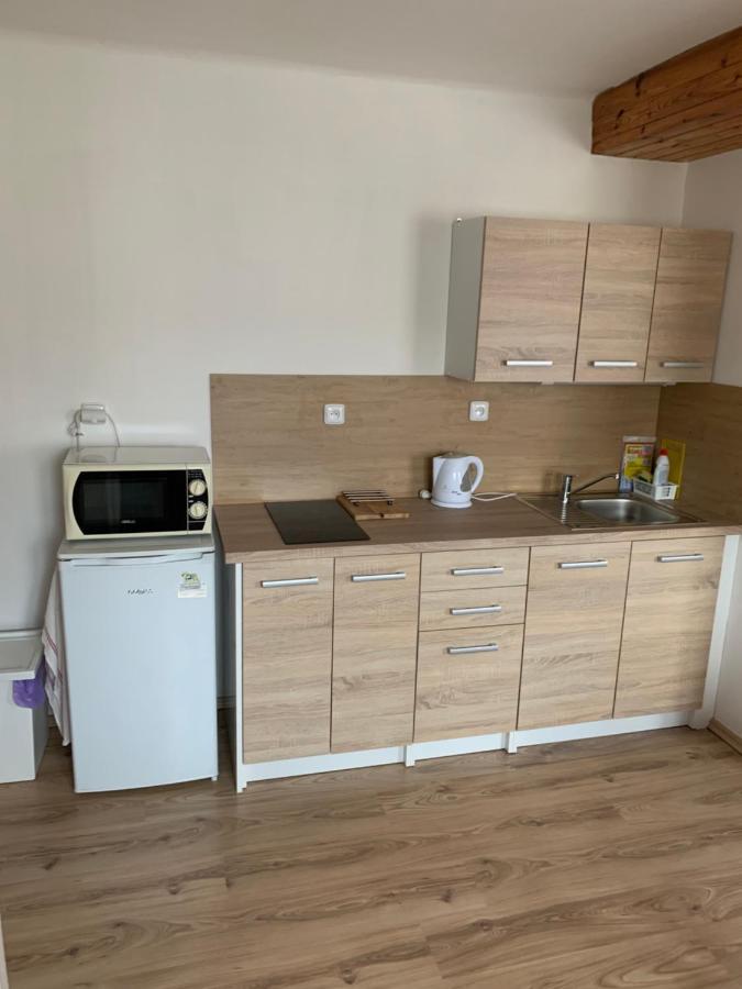 Privat Zelezny Brod Διαμέρισμα Εξωτερικό φωτογραφία
