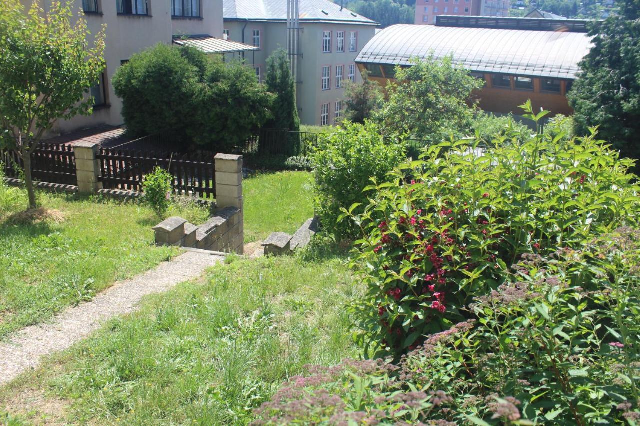 Privat Zelezny Brod Διαμέρισμα Εξωτερικό φωτογραφία